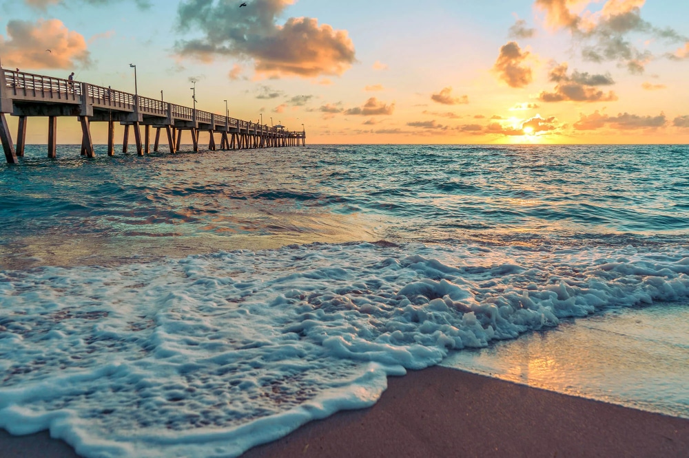 Dania Beach Sunny coastal city with high-rise buildings along a marina and palm trees, blue sea in the background
