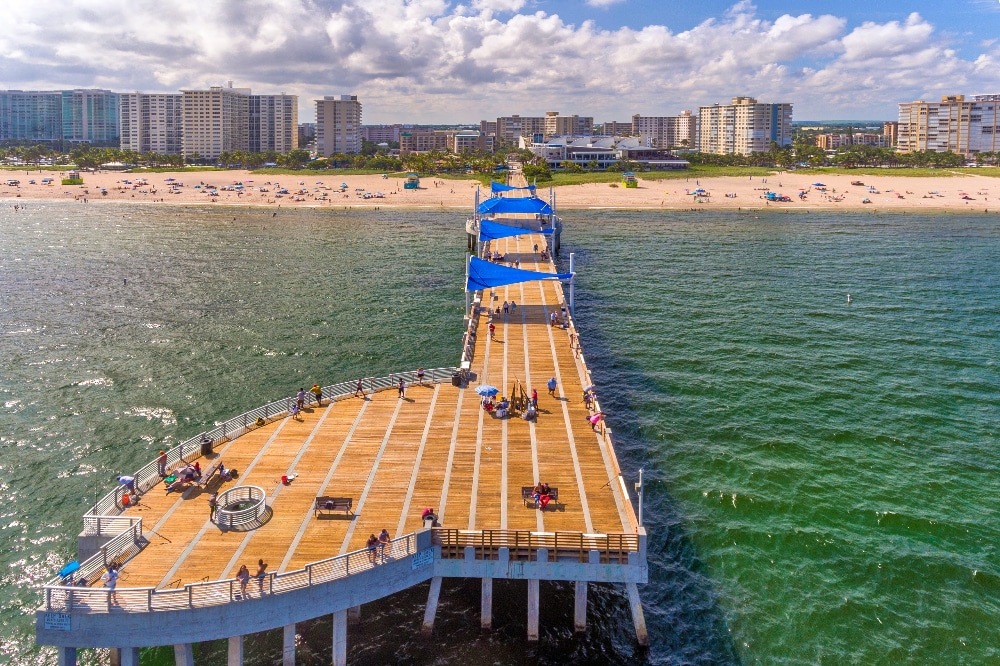 Sunny coastal city with high-rise buildings along a marina and palm trees, blue sea in the background